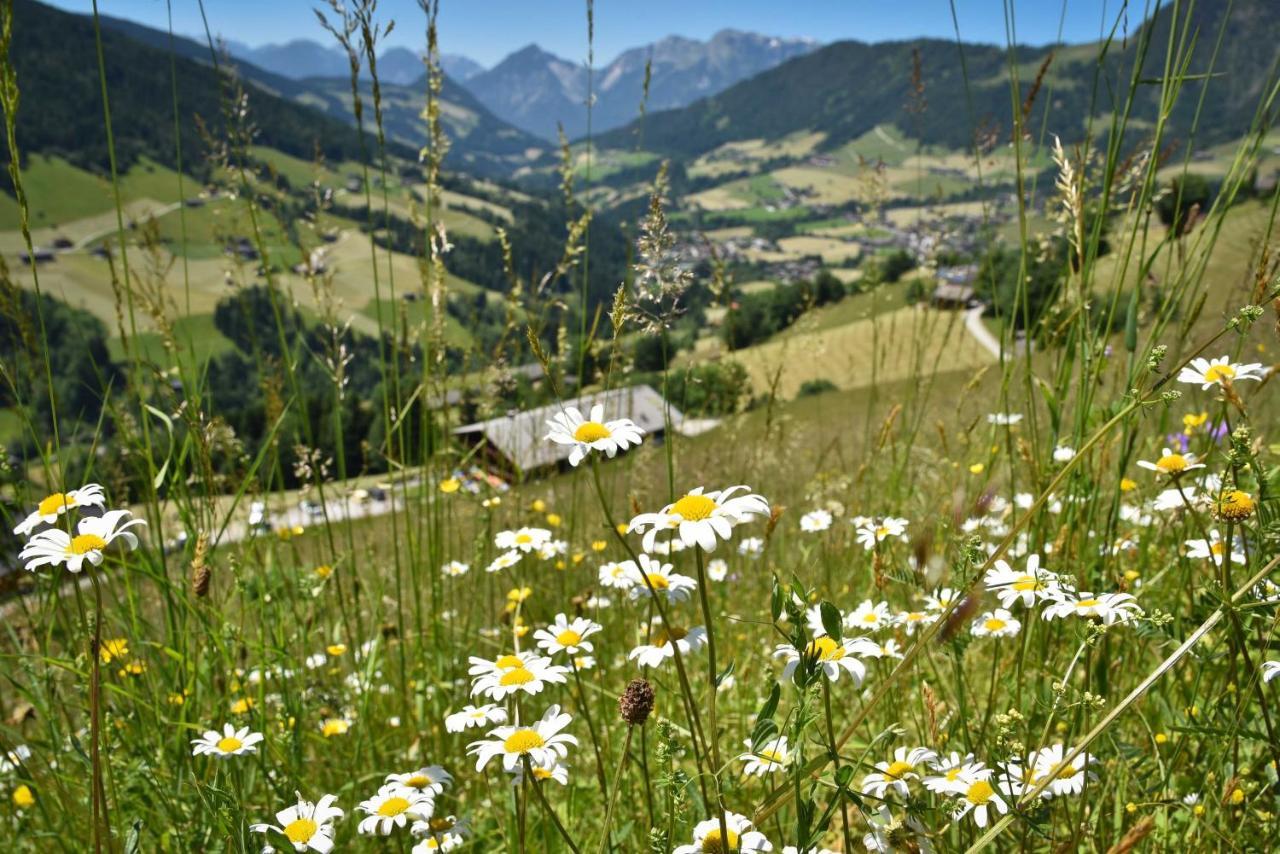 Appartamento Haus Dorferstuck Alpbach Esterno foto